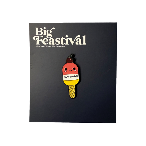 A cute Ice Lolly Pin Badge from 2025, shaped like a smiling ice cream on a cone, attached to a dark card that reads Big Feastival, Alex James Farm, The Cotswolds.